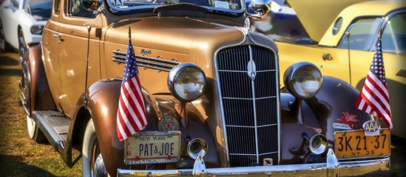 Cattle i green first good