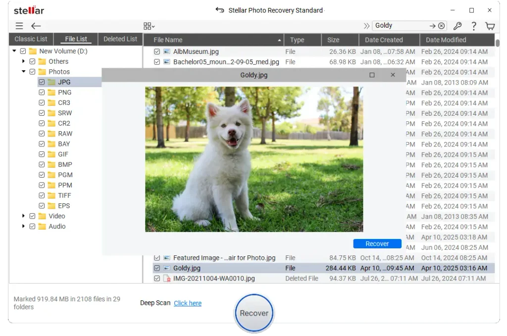 Stellar Photo Recovery Standard
